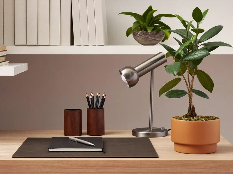 Gestaltete Homeoffice-Ecke mit Pflanzen, Regal und Schreibtischzubehör im Tageslicht, Illustration
